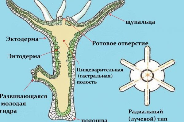 Кракен это современный даркнет маркет